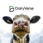 Dairyverse Consulting Ltd